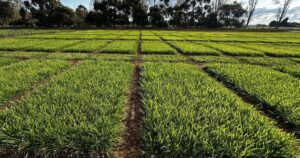Pasture Roadshow 2025