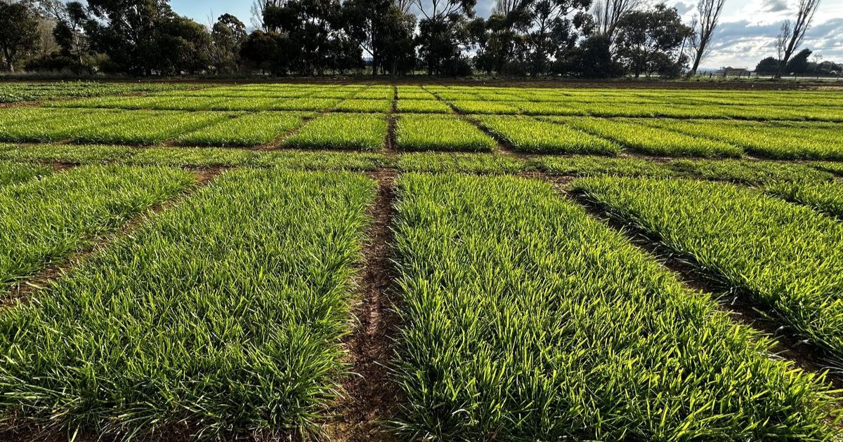 Pasture Roadshow 2025