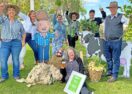 Agricultural Town Award