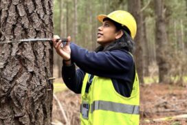 Forest health officer