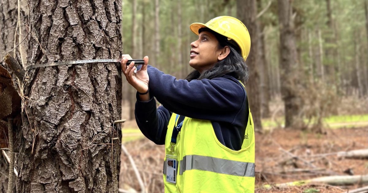 Forest health officer