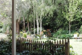 Kalangadoo open garden