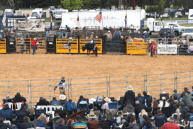Mount Gambier grants