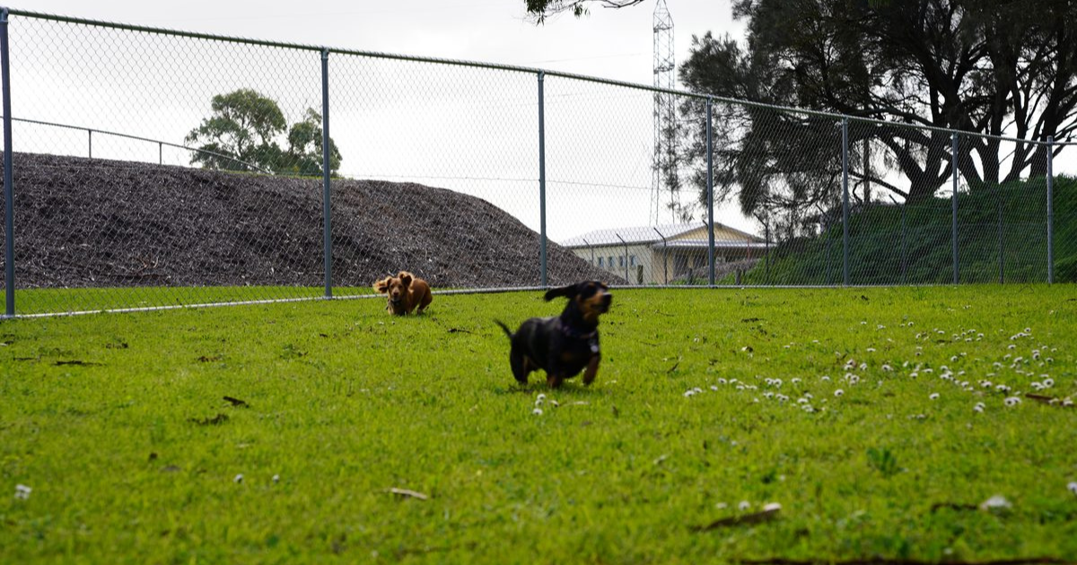 Blue Lake dog park