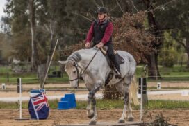 Pines Working Equitation