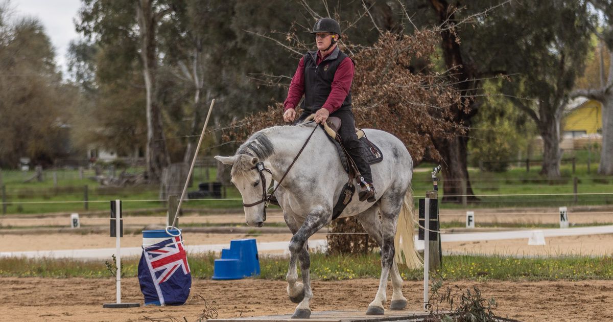 Pines Working Equitation