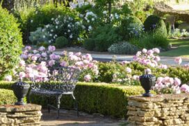 St Mary’s Garden