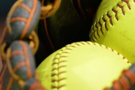 Mount Gambier Softball