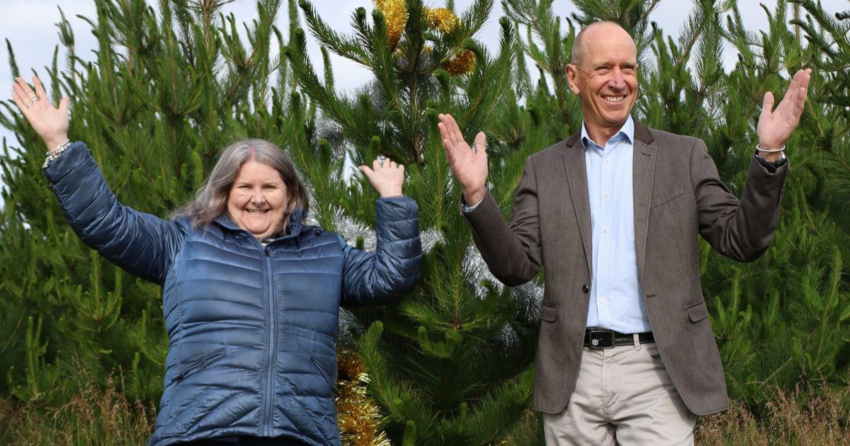 Grant festive community