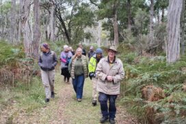 Limestone Coast Plan
