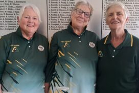 Millicent Bowls Club