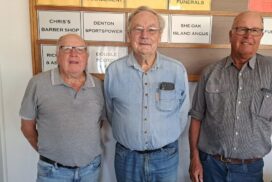 Millicent Bowling Club results