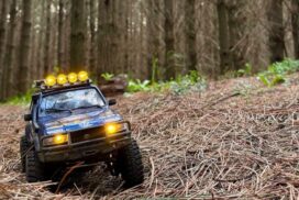 Kids Forest Photo Competition