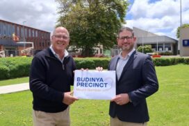 Budinya Precinct Mount Gambie