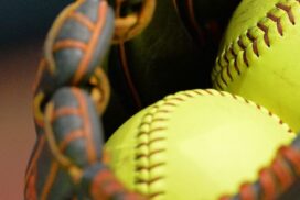 Warriors White softball