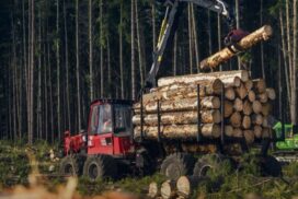 investment boosting timber industry Green Triangle