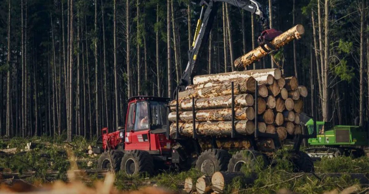 investment boosting timber industry Green Triangle