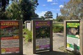 nature activity boards
