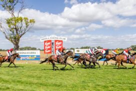 Coonawarra Vignerons Cup