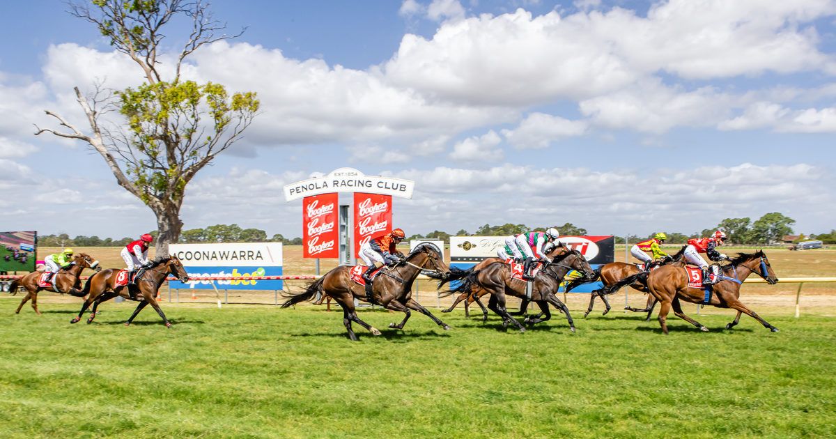Coonawarra Vignerons Cup