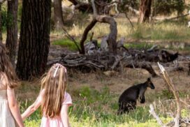 Valley Lake Nature Challenge