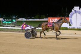Mount Gambier Gold Cup