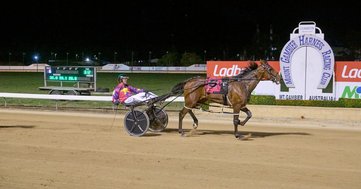 Mount Gambier Gold Cup