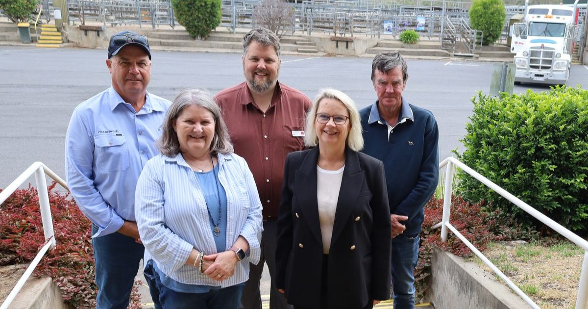 Saleyards Transformation Project