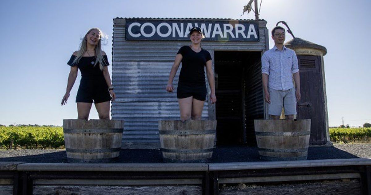 Coonawarra Vintage 2026