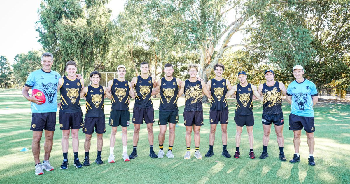 Glenelg Tigers Trial