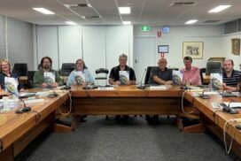 Southern Limestone Coast Council