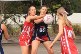 Limestone Coast Football Netball