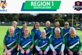 Prestige Medley bowls
