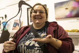 Ibis Rising Art Awards