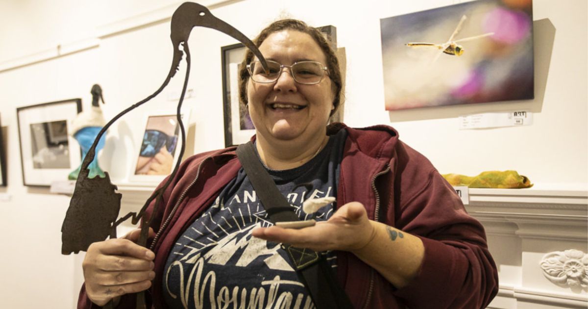 Ibis Rising Art Awards