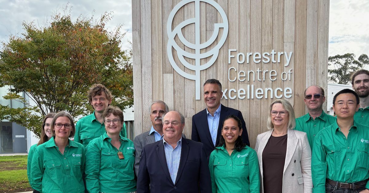 Forestry Centre of Excellence