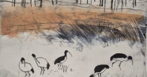 Millicent Gallery print exhibition