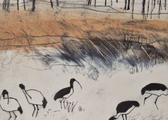 Millicent Gallery print exhibition
