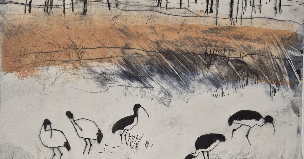 Millicent Gallery print exhibition