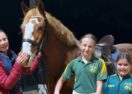 Mount Gambier junior sports
