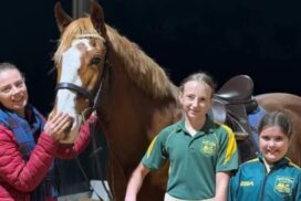 Mount Gambier junior sports