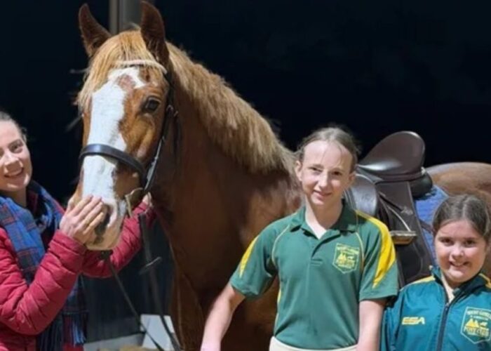 Mount Gambier junior sports