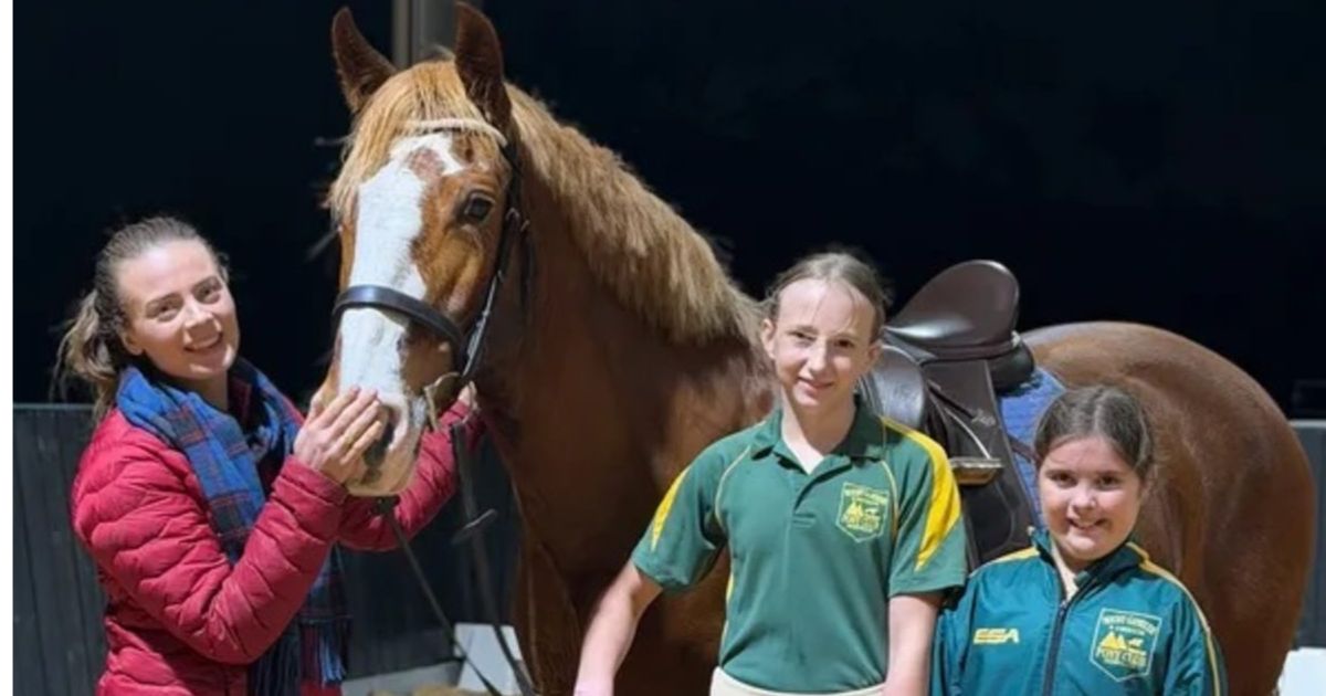 Mount Gambier junior sports