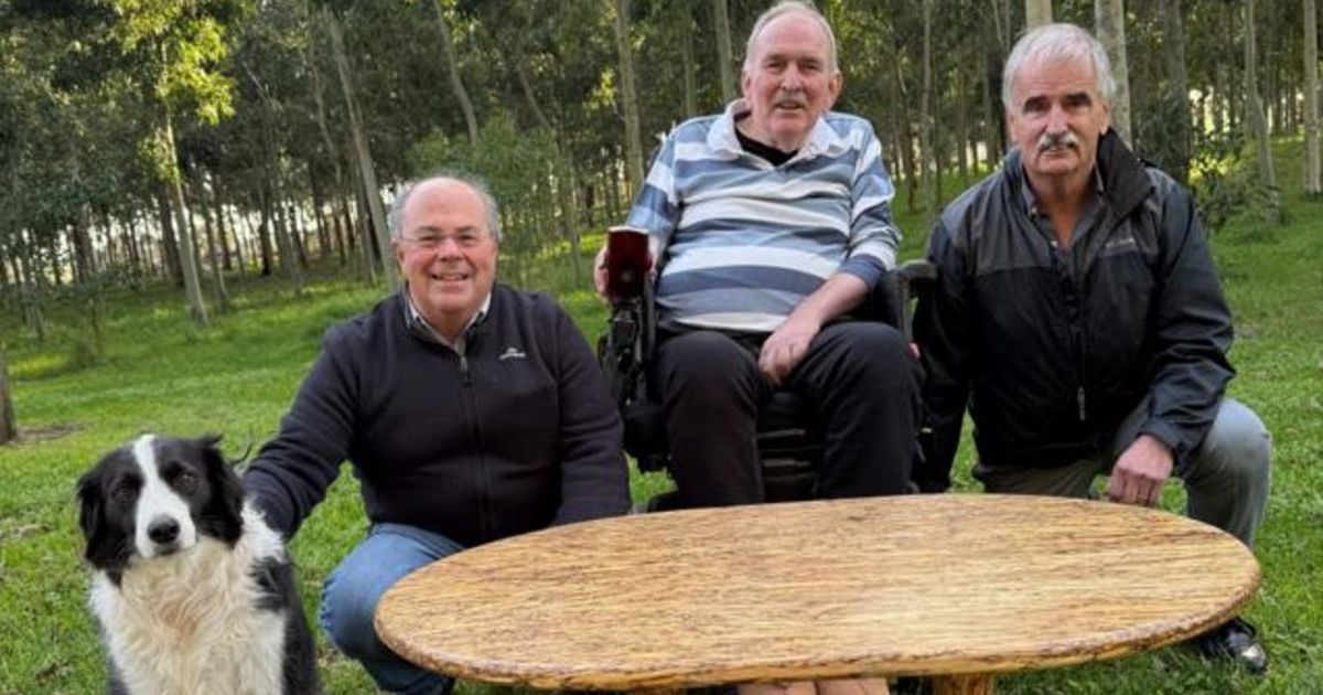 Forestry Centre of Excellence