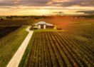 Coonawarra aged wine tasting