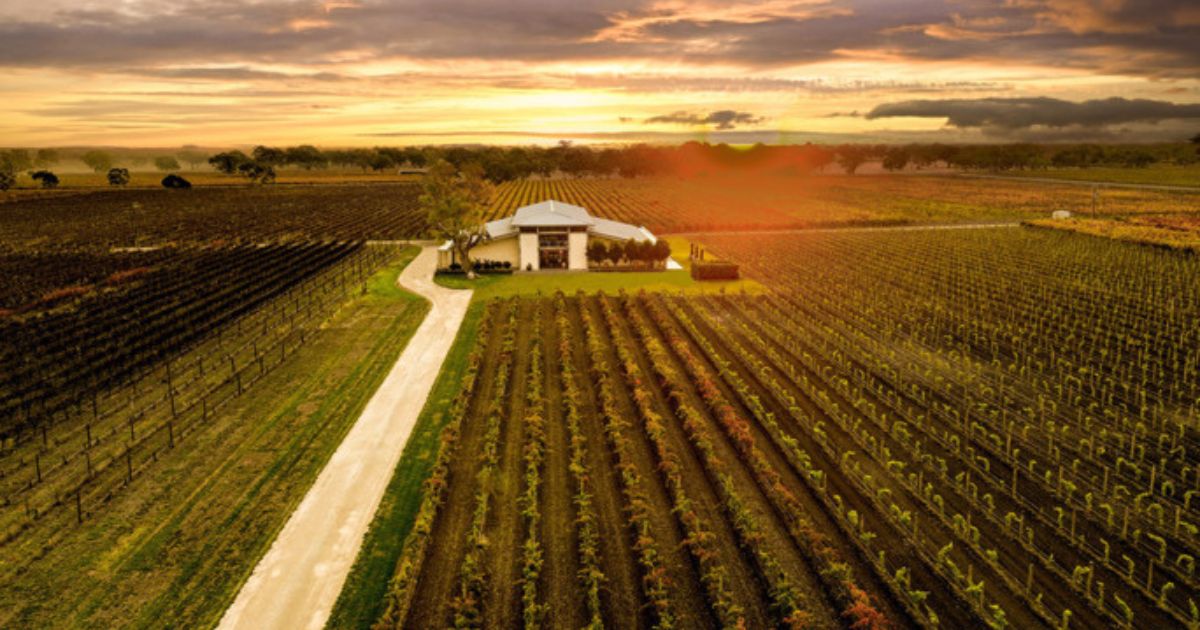 Coonawarra aged wine tasting