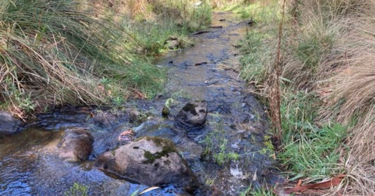 Wadawurrung water management