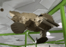 platypus sculptures