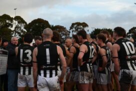Darley Devils win
