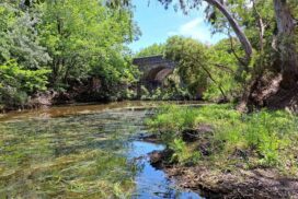 Moorabool River conservation